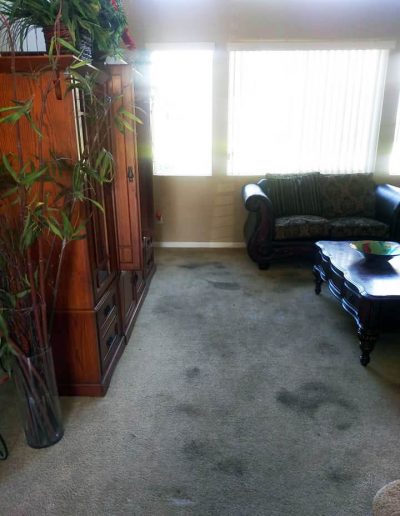 Carpet Cleaning Oroville