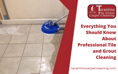 Everything You Should Know About Professional Tile and Grout Cleaning