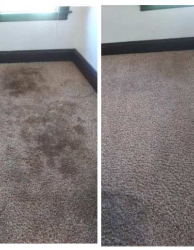 Carpet Cleaning Before After Image