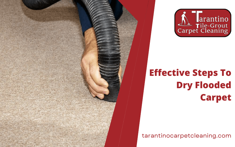 Effective Steps To Dry Flooded Carpet